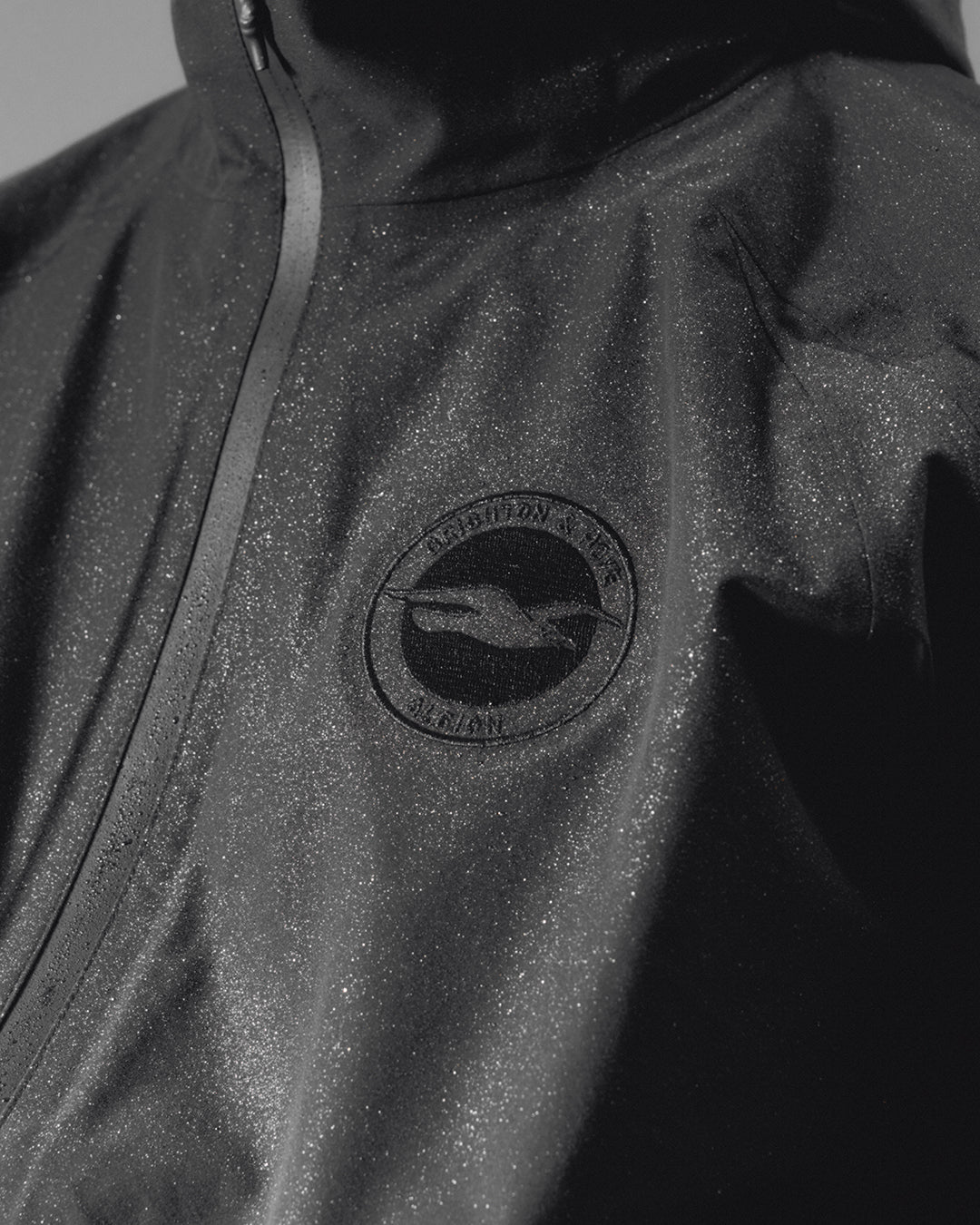 AOF Brighton & Hove Albion Shell Jacket | Black | Art of Football